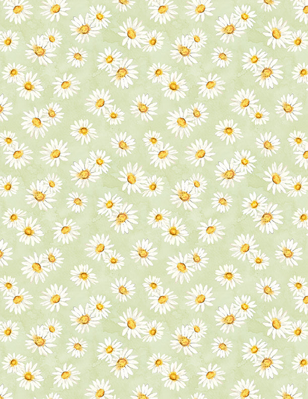 Zest for Life - Daisy Toss Green Yardage