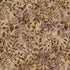 Brown and taupe floral batik fabric featuring leafy vines and botanical flowers on a nutmeg background by Timeless Treasures.