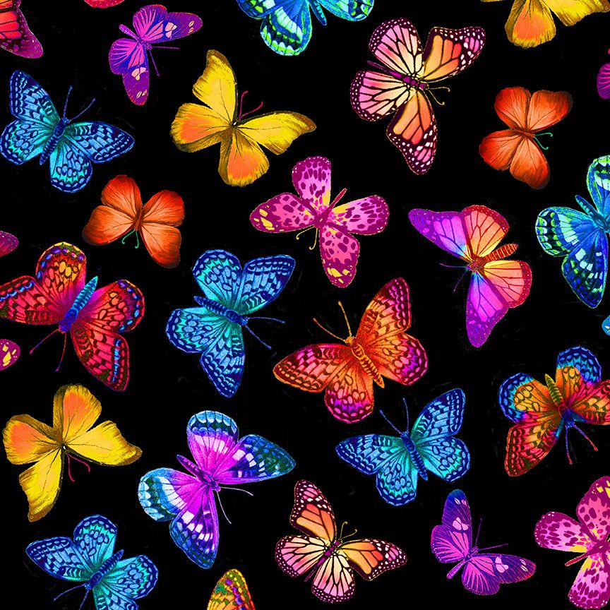 Colorful butterflies flying across black wide backing cotton fabric by Timeless Treasures