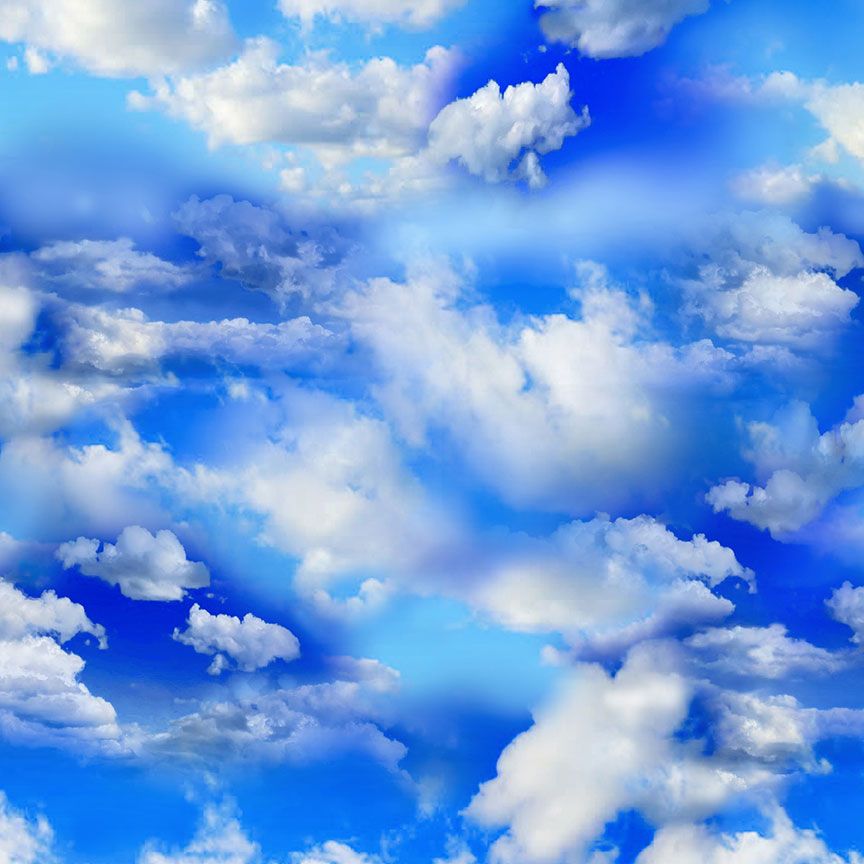 Clouds in a Bright Sky 108" Wide Yardage