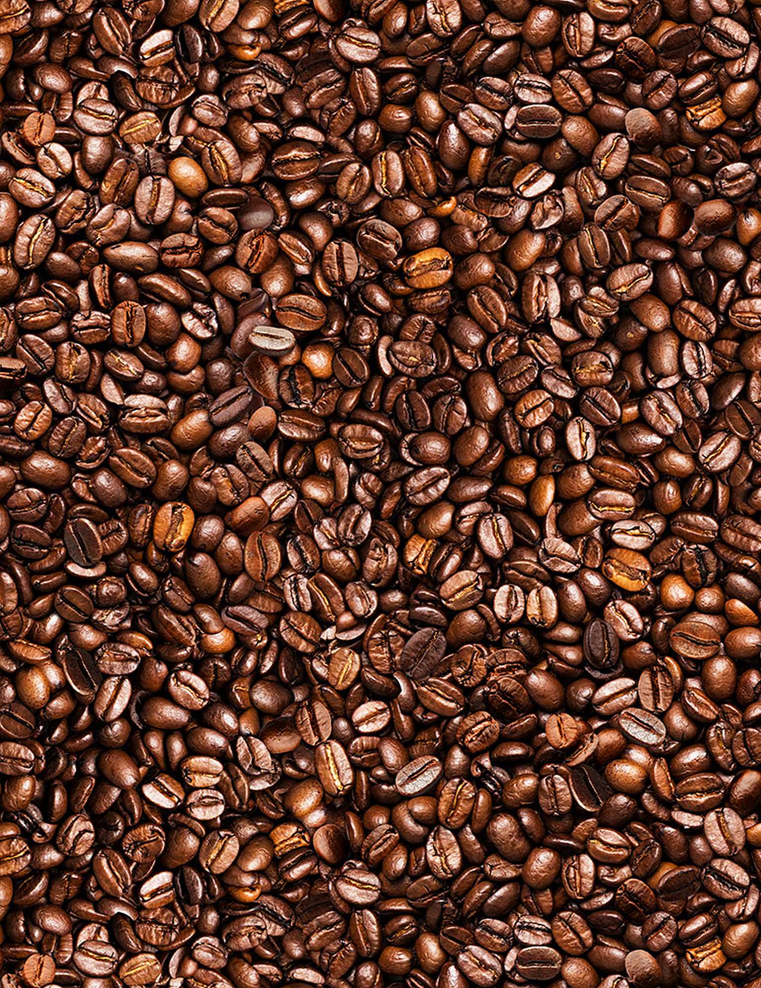 Timeless Treasures Coffee cotton fabric featuring a realistic digital print of roasted coffee beans covering the entire fabric.