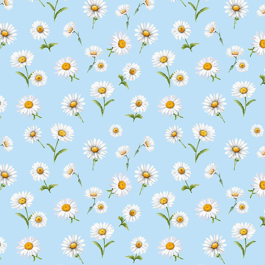 Digital cotton fabric Bee & Bee Kind - Spaced Daisies Sky by Timeless Treasures featuring scattered white daisies with yellow centers on a blue background.