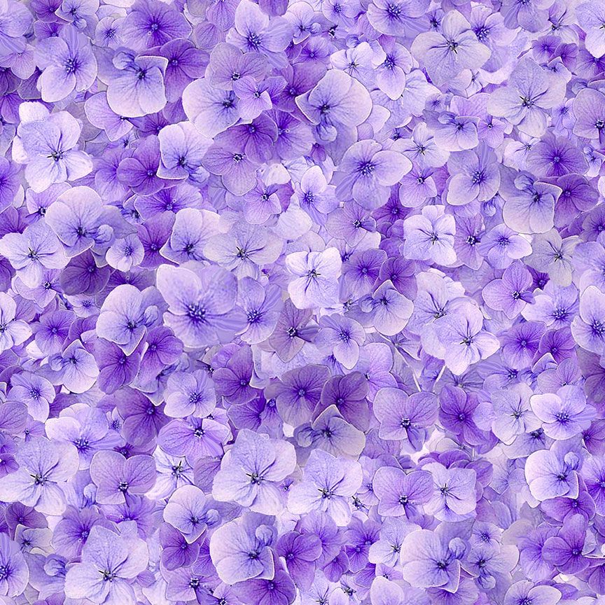 Digital cotton fabric Garden Delight - Viola Floral Lilac by Timeless Treasures featuring delicate packed lilac and violet viola blossoms.