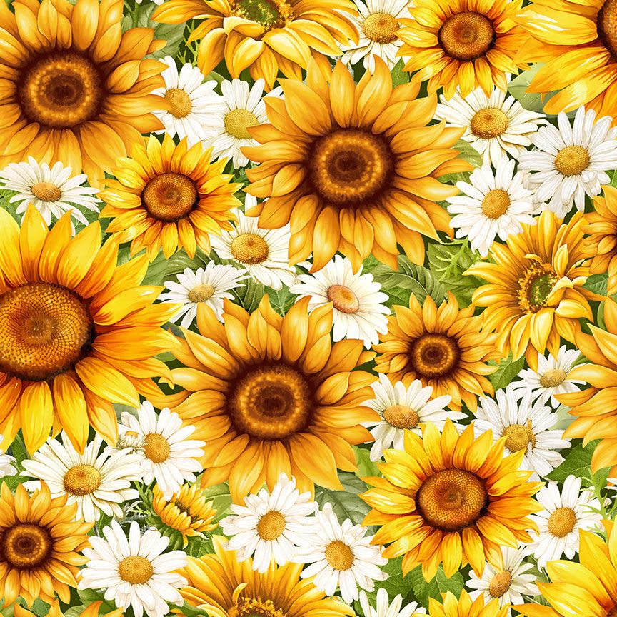 Packed golden sunflowers and white daisies floral cotton fabric by Timeless Treasures