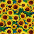 Painted Sunflower fabric from the Sunflower Symphony collection by Timeless Treasures featuring vibrant yellow sunflowers with rich brown centers and green foliage in an artistic painterly style on premium quilting cotton.