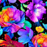 Large rainbow floral fabric on a black background featuring bold multicolor blossoms by Chong-A Hwang for Timeless Treasures.
