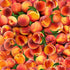 Fresh Fruit Packed Peaches fabric by Timeless Treasures featuring realistic ripe peaches and green leaves in a vibrant digital print on premium quilting cotton fabric.