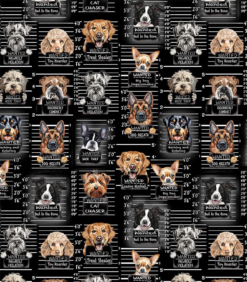 Dog-themed quilts, pet accessories, and gifts made with Dog Mugshots fabric by Gail Cadden for Timeless Treasures