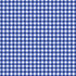 Limoncello - Gingham Check Blue Yardage