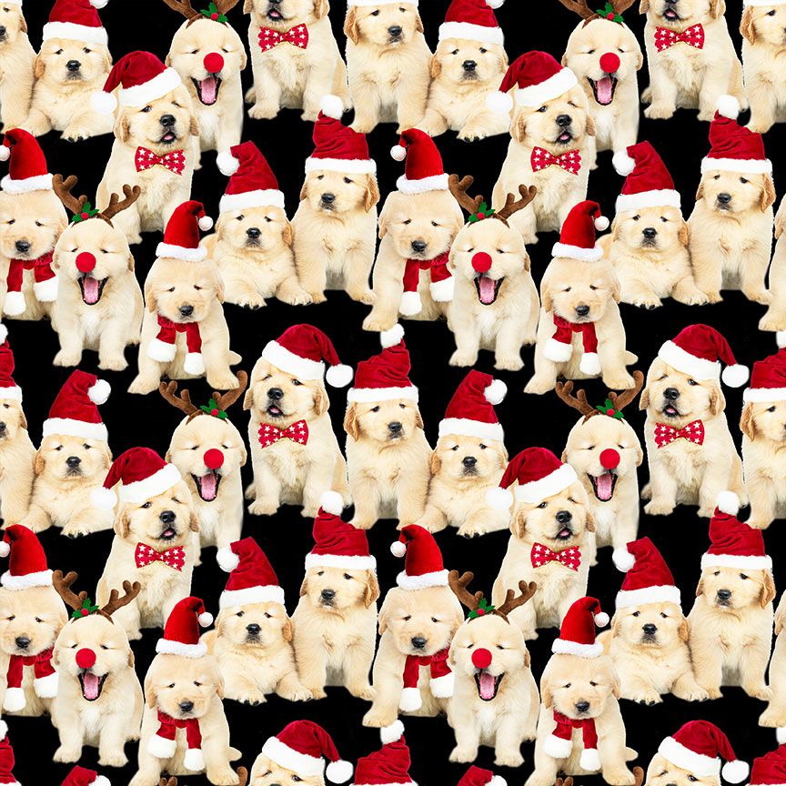 Holiday lab puppies Christmas quilting cotton fabric on black background
