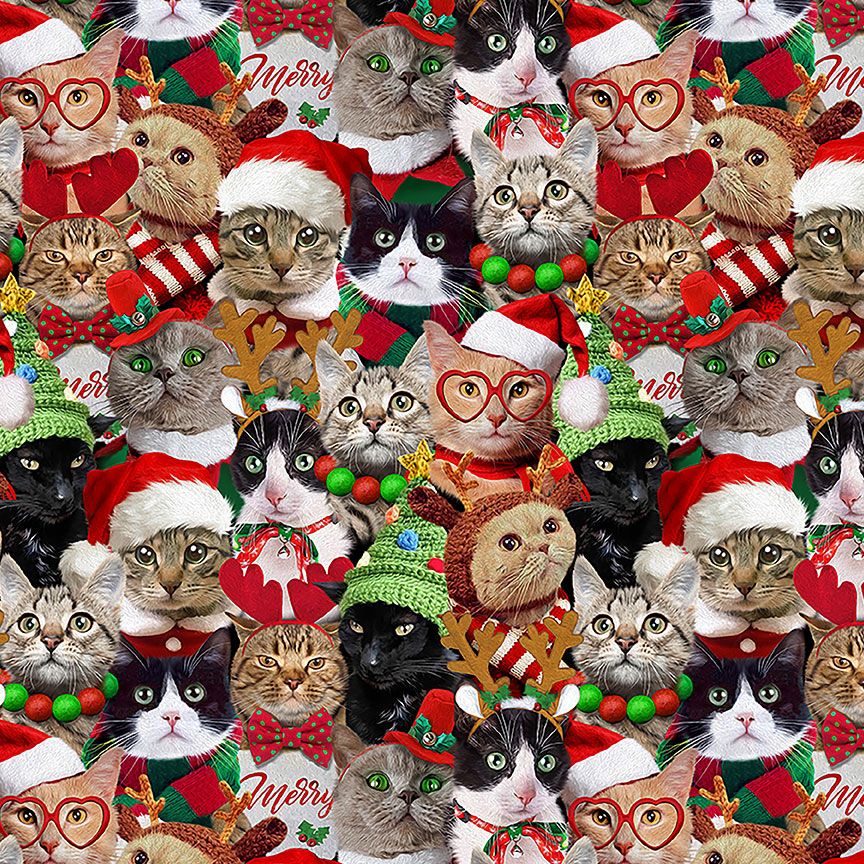 Christmas cheer holiday cats quilting cotton fabric by Timeless Treasures