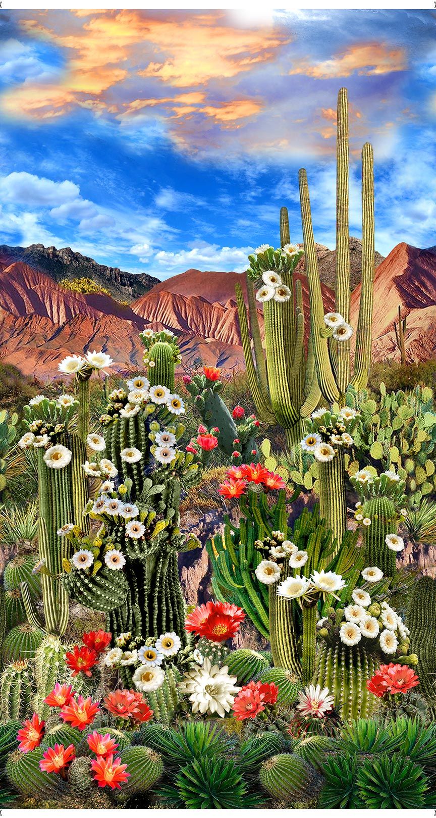Desert landscape cotton panel featuring blooming cacti, mountains, and a colorful sky by Timeless Treasures.
