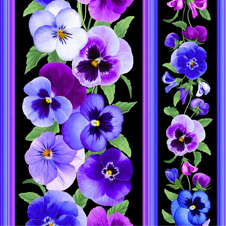 Digital cotton fabric Pansy Perfection - Pansy 11" Stripe by Chong-A Hwong for Timeless Treasures featuring purple, violet, and blue pansies with coordinating stripe borders on a black background.