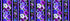 Digital cotton fabric Pansy Perfection - Pansy 11" Stripe by Chong-A Hwong for Timeless Treasures featuring purple, violet, and blue pansies with coordinating stripe borders on a black background.
