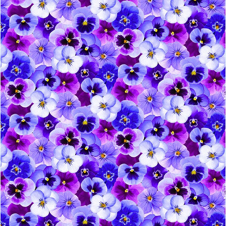 Pansy Perfection - Packed Pansy Floral Fabric by Chong-A Hwong for Timeless Treasures featuring tightly clustered pansies in purple, lavender, and blue.