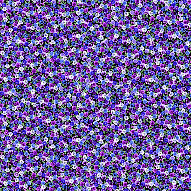 Tiny Pansy Floral Quilting Cotton Fabric – PANSY-CD3755 BLACK by Timeless Treasures – small pansy flowers on black fabric