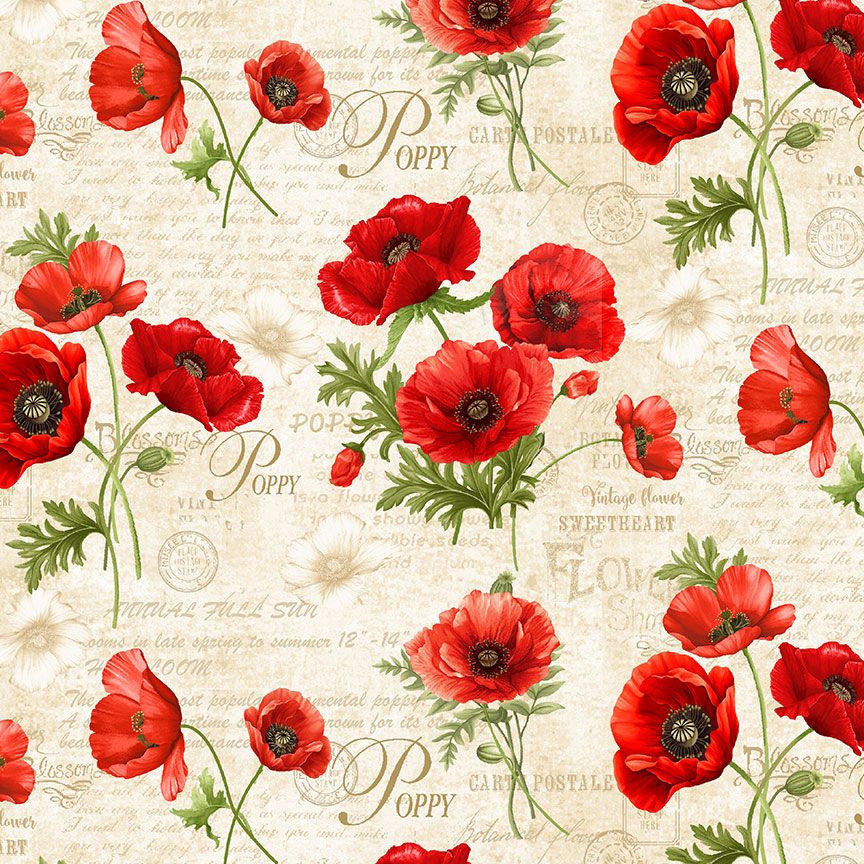 Red poppy flowers with green leaves over a cream background with vintage script and botanical text.
