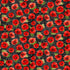 Red poppy flowers on a black textured background with white script text.