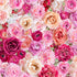 Bellerose - Large Packed Roses - Remnant
