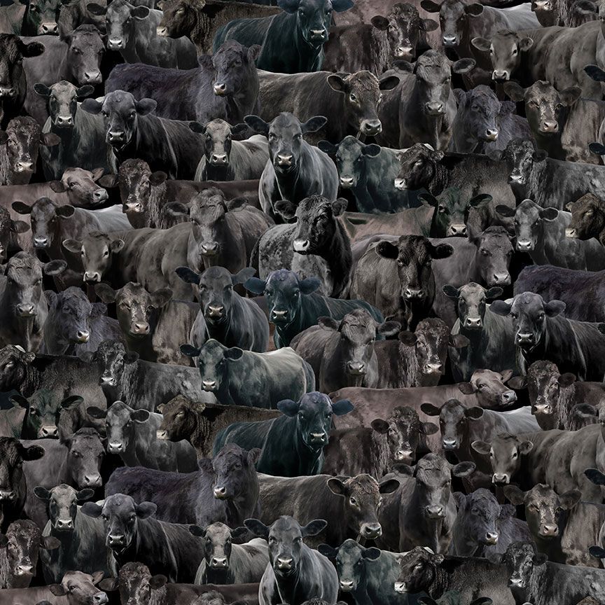 Realistic packed black cattle and cow cotton fabric by Timeless Treasures