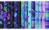 Evening Glow - Flying Butterflies Metallic Yardage