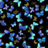 Blue and aqua metallic butterflies with gold accents scattered across a black cotton background by Timeless Treasures.