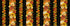 Give Thanks Harvest 11 Inch Stripe cotton fabric by Timeless Treasures featuring pumpkins, sunflowers, chrysanthemums, autumn leaves, and metallic accents on a black background.