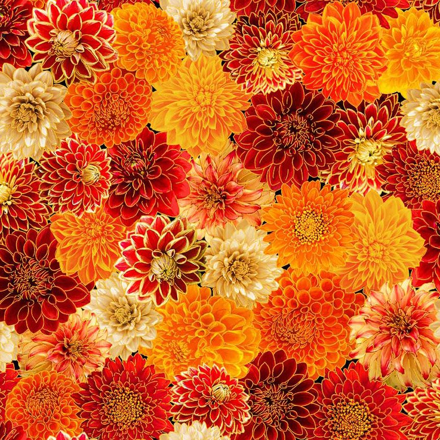 Give Thanks Chrysanthemum Mix cotton fabric by Timeless Treasures featuring vibrant chrysanthemums in orange, gold, burgundy, cream, and red.