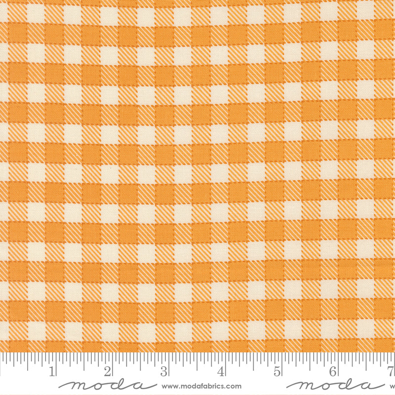 Animal Park Fun Checks Canary fabric by Stacy Iest Hsu for Moda Fabrics featuring a classic canary yellow and cream gingham-style check on premium quilting cotton.