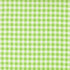 Fruit Salad Gingham Lime premium quilting cotton featuring a classic lime green and white gingham check by Corey Yoder for Moda Fabrics.
