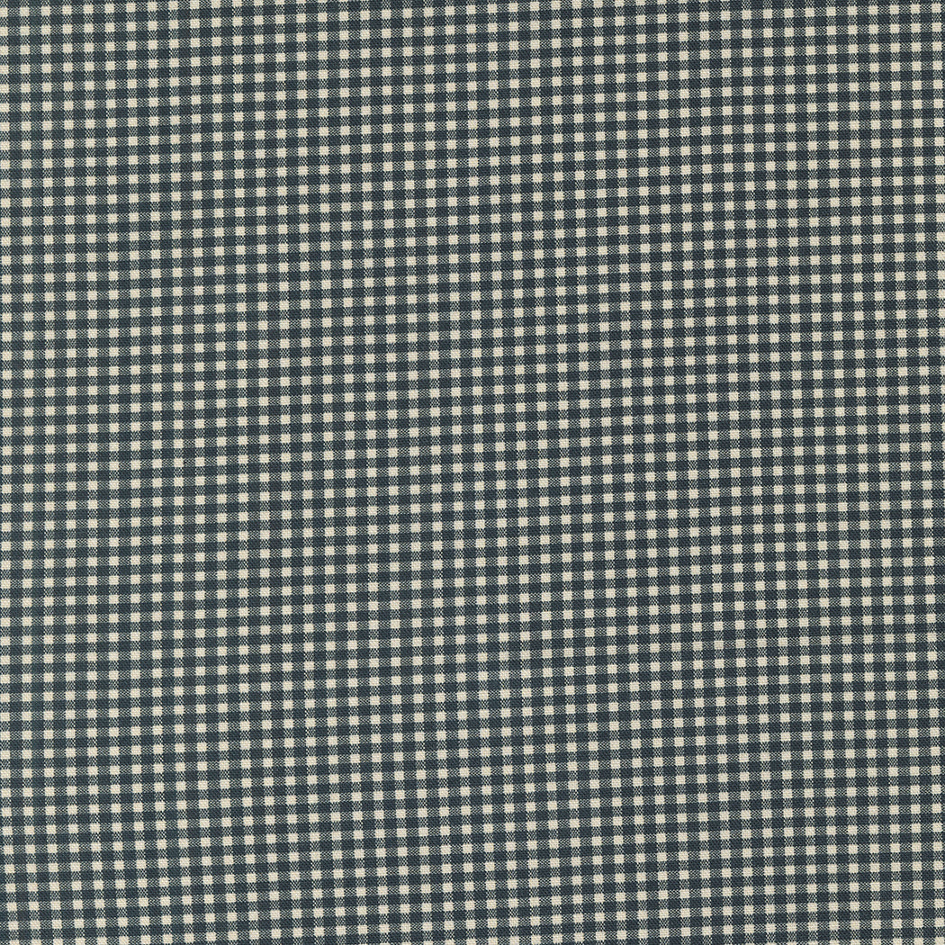 Goodnight Irene Graphite premium quilting cotton featuring a graphite gray and cream micro gingham check by Betsy Chutchian for Moda Fabrics.