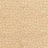 cream tonal rose floral quilting cotton fabric by Jamie Fingal for RJR Fabrics