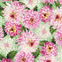 Newport Place - Clearview Mint Yardage
