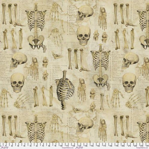 Laboratory Anatomy Neutral Canvas Fabric by Tim Holtz featuring vintage skeleton, skull, bone, and anatomy illustrations on a parchment-colored background.