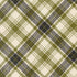 Chilly Christmas Plaid Pine premium quilting cotton featuring a pine green, charcoal, and ivory tartan plaid by Sweetwater for Moda Fabrics.