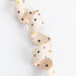 star print webbing strap natural background colorful stars