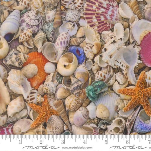Saltwater Seas The Day Shell quilting cotton by Cathe Holden for Moda Fabrics featuring realistic seashells, starfish, scallops, and coastal beach treasures in natural colors.