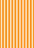 Witchy Woods - Terrifying Ticking Stripe on Halloween Orange Glow in the Dark Yardage