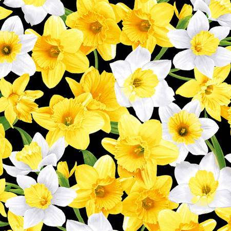Yellow and white daffodil blooms scattered across a black cotton background.