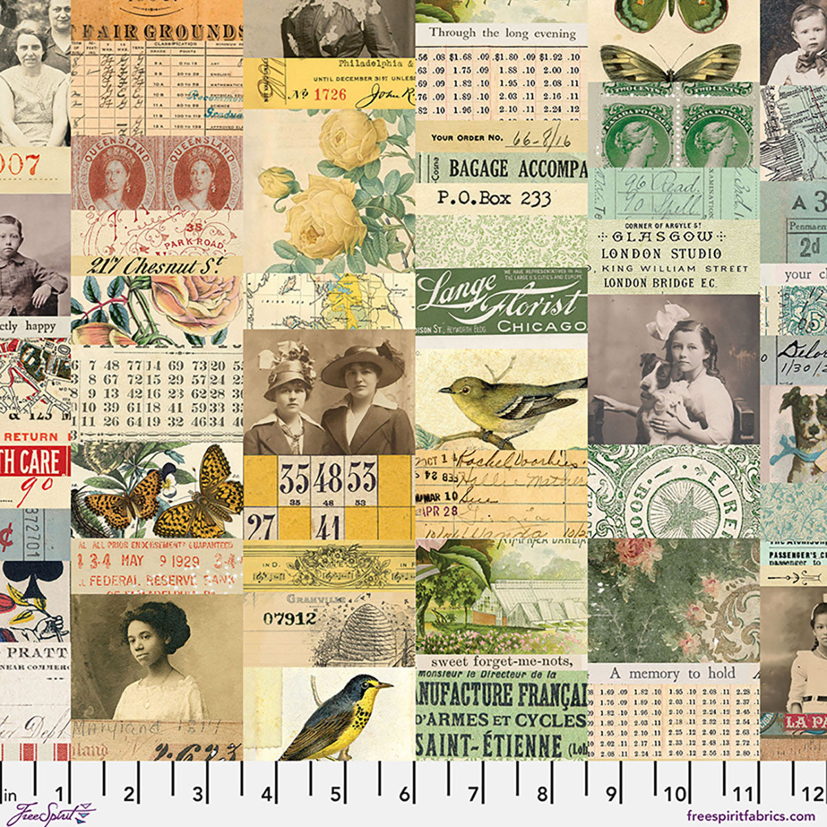 Tim Holtz Palette Multi Collage cotton canvas fabric featuring vintage photographs, botanical illustrations, birds, butterflies, stamps and antique ephemera.