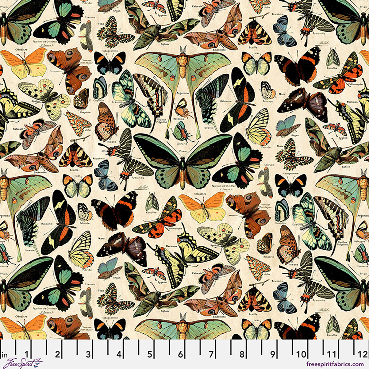 Tim Holtz Palette Teal Butterflies cotton canvas fabric featuring vintage butterflies, moths, and entomology illustrations on a cream background by FreeSpirit Fabrics.