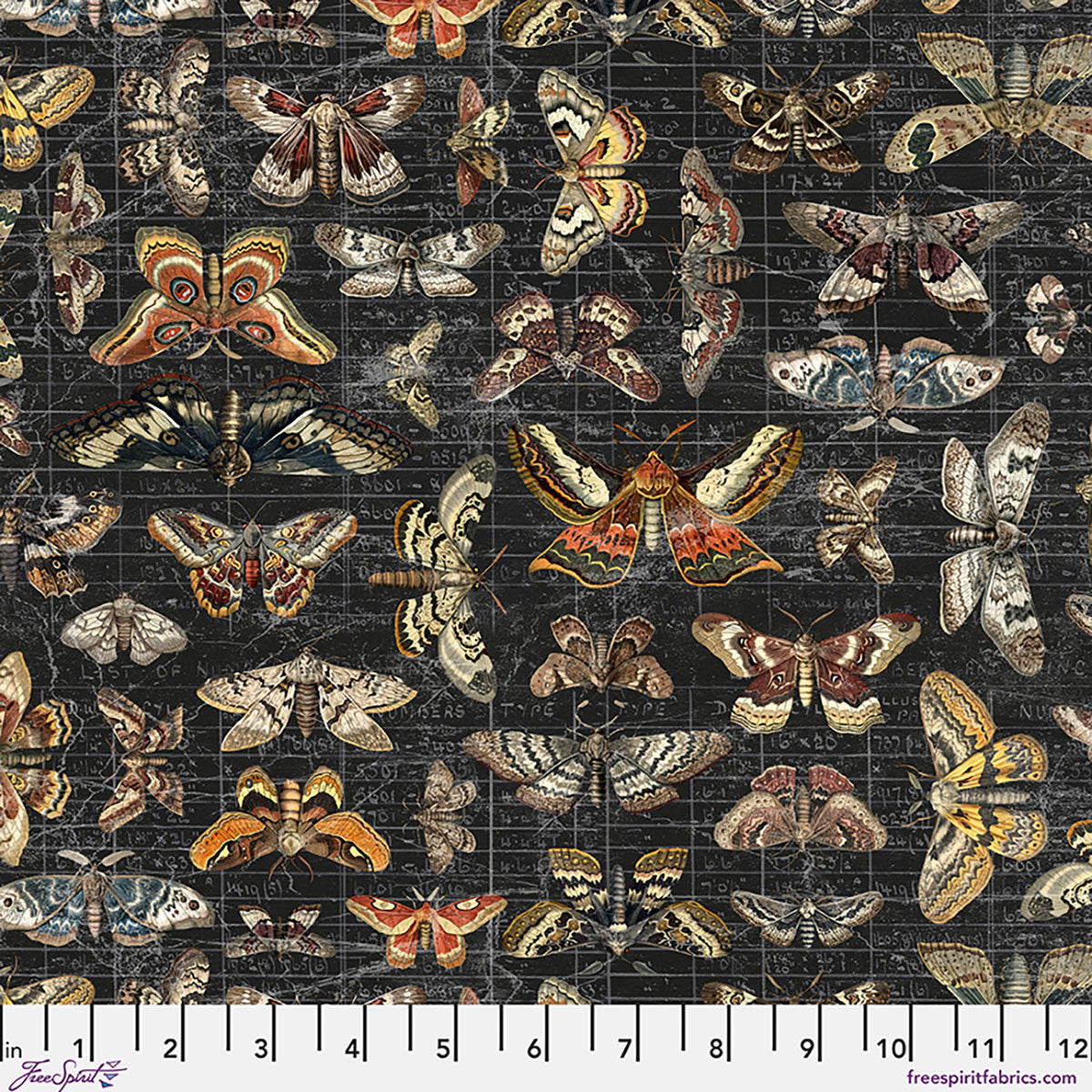 Tim Holtz Halloween Moth Study cotton canvas fabric featuring detailed vintage moth illustrations on a distressed charcoal chalkboard background.