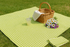 lime gingham picnic blanket spread on grass with a wicker basket, flowers, and a lemonade cup for a fresh summer vibe.