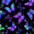 Evening Glow Flying Butterflies metallic cotton fabric by Chong-A Hwang featuring blue, purple, and teal butterflies with shimmering gold metallic accents on a black background.