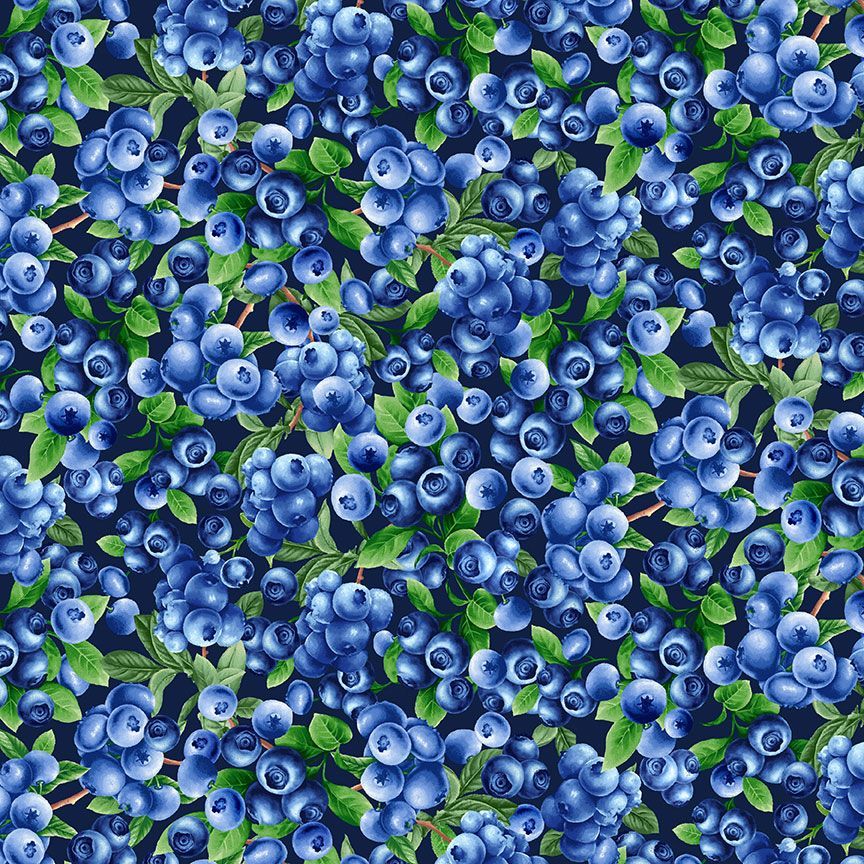 Blueberry Delight - Blueberries Bush Fabric by Timeless Treasures featuring realistic blueberries with green leaves on a navy background.