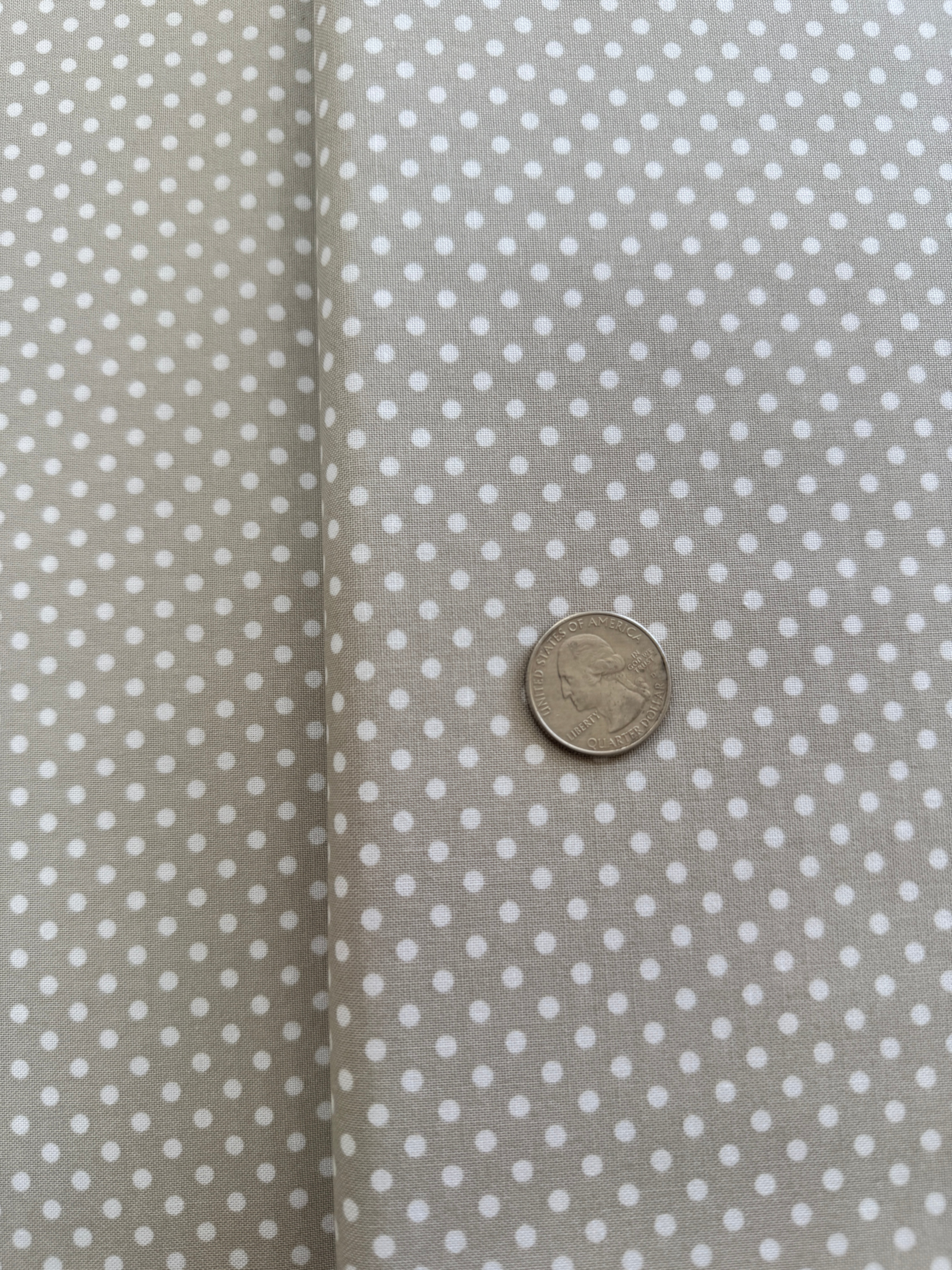 45" Dottie - Dottie Small Dots on Gray Yardage