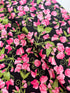 Flowerhouse - Penelope - Flowers Black Yardage