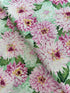 Newport Place - Clearview Mint Yardage