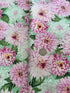 Newport Place - Clearview Mint Yardage