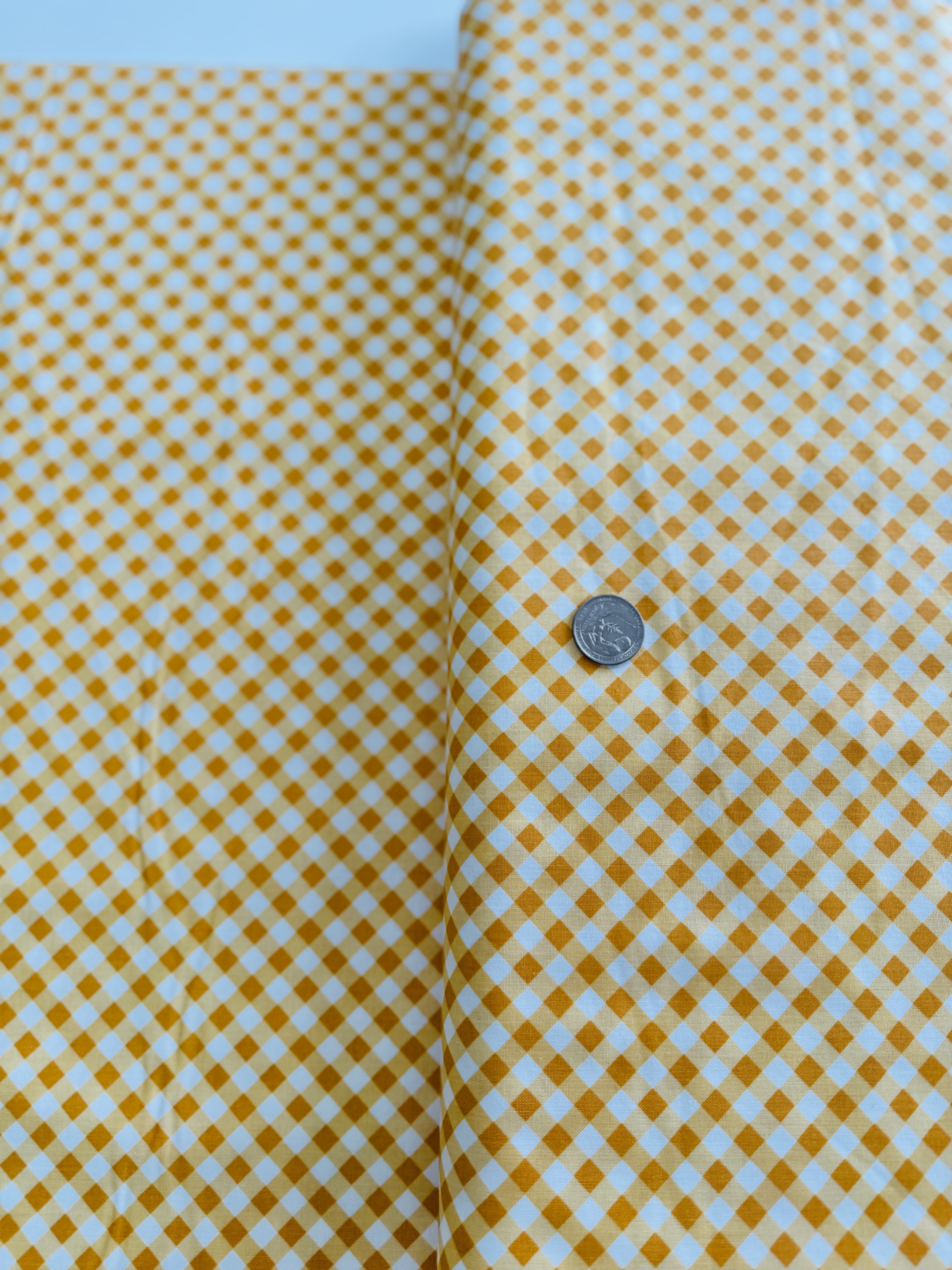 Bee Ginghams Tammy Daisy Yardage